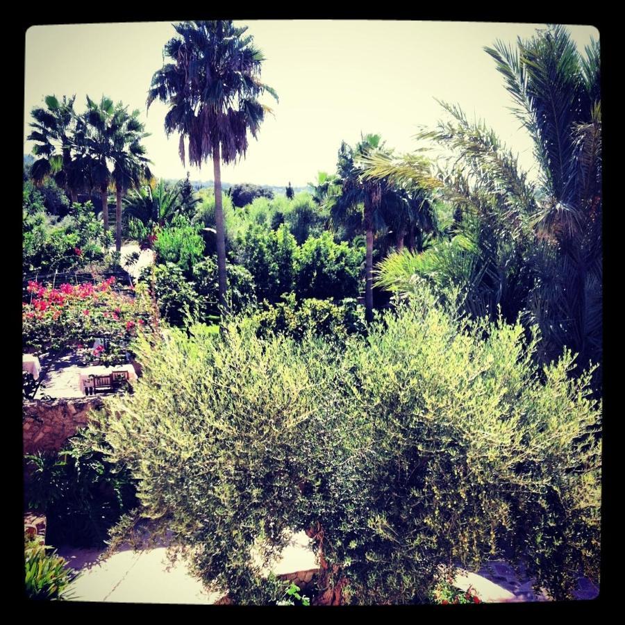 קאס קונקוס דה קבייר Hotel Rural Son Terrassa חדר תמונה